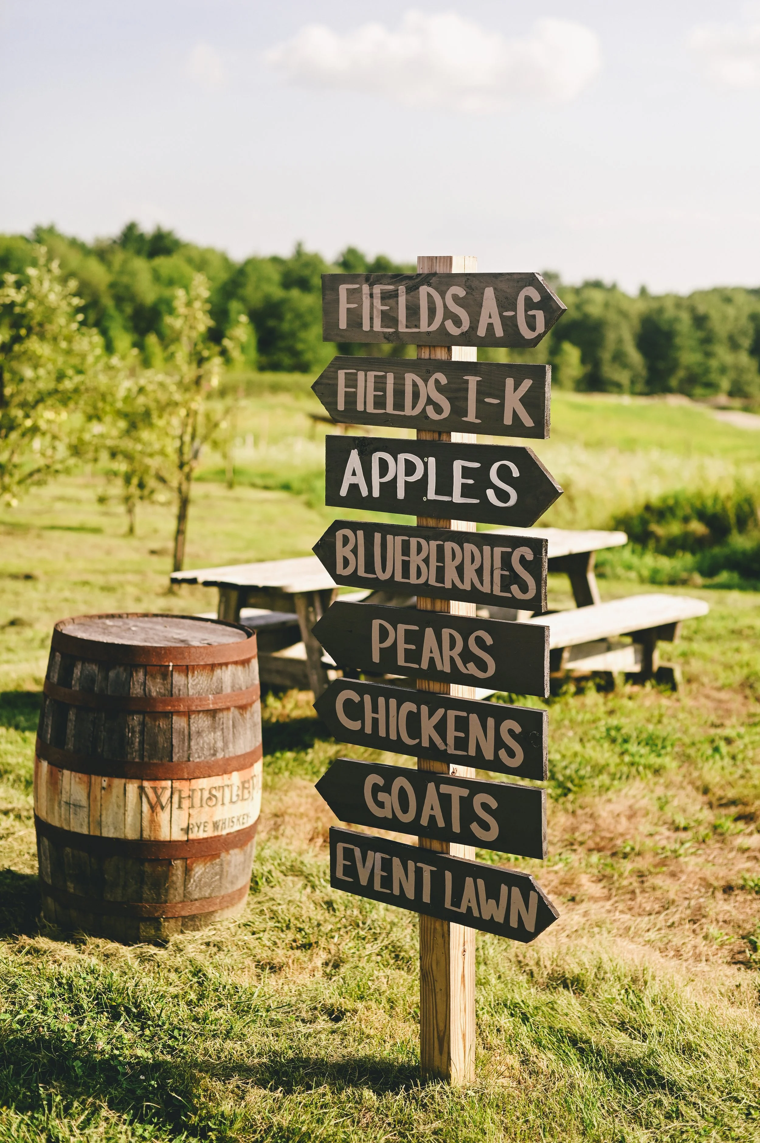 a small pick-your-own fruit farm in southern Maine