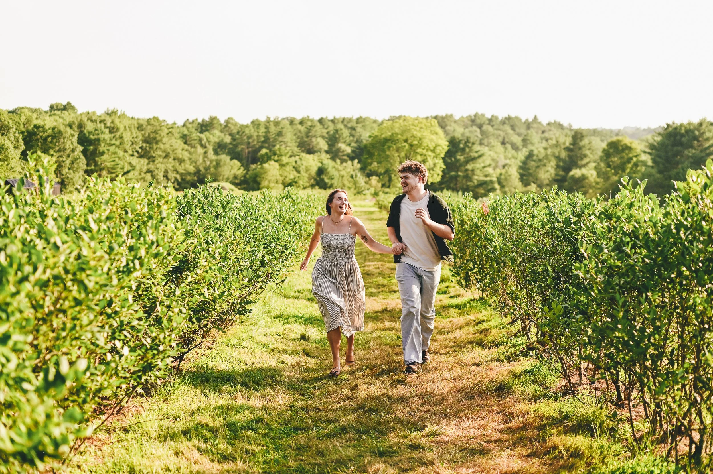 a newly engaged couple happily running in a blueberry field