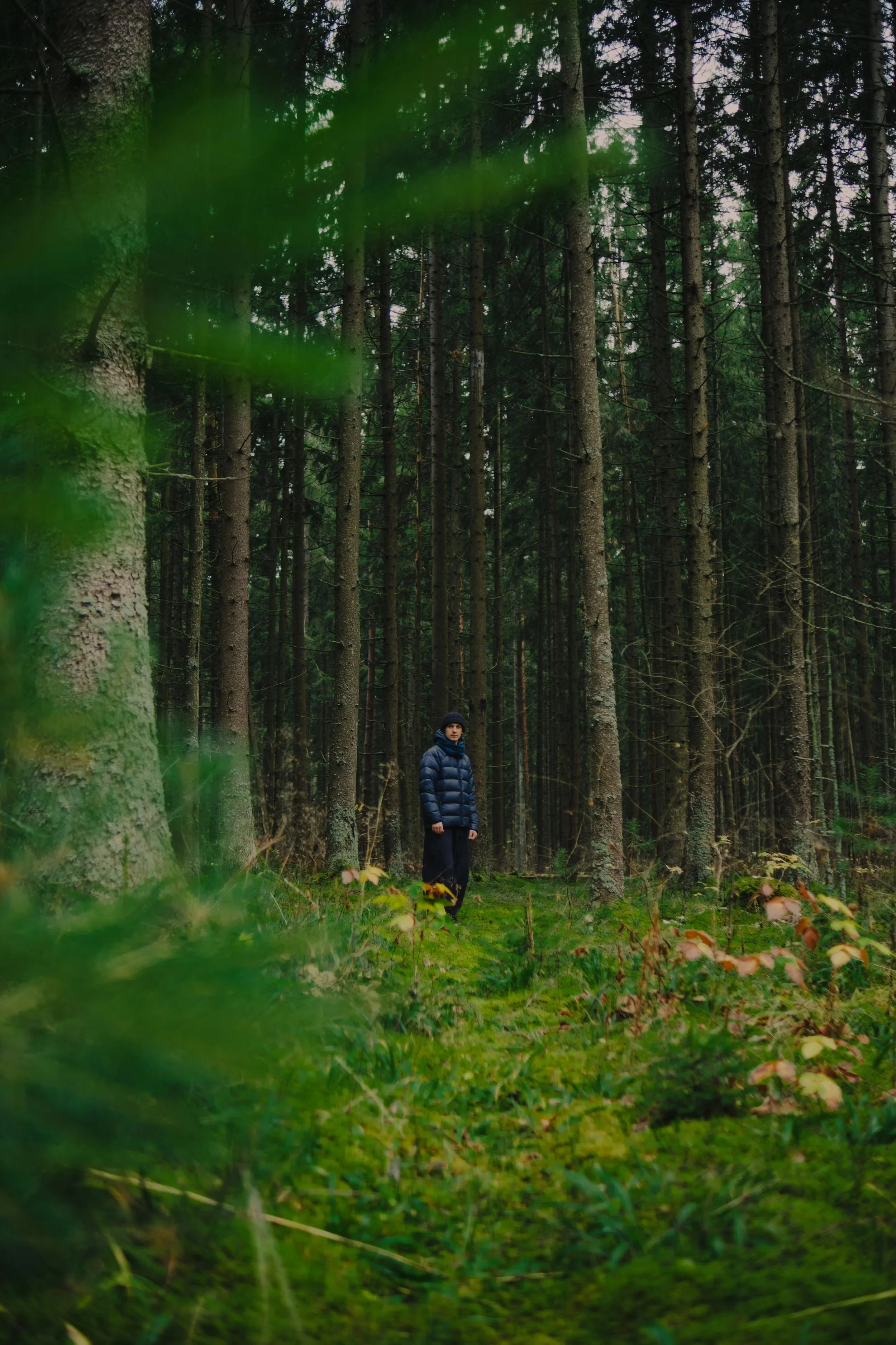 Adventure in the Elements