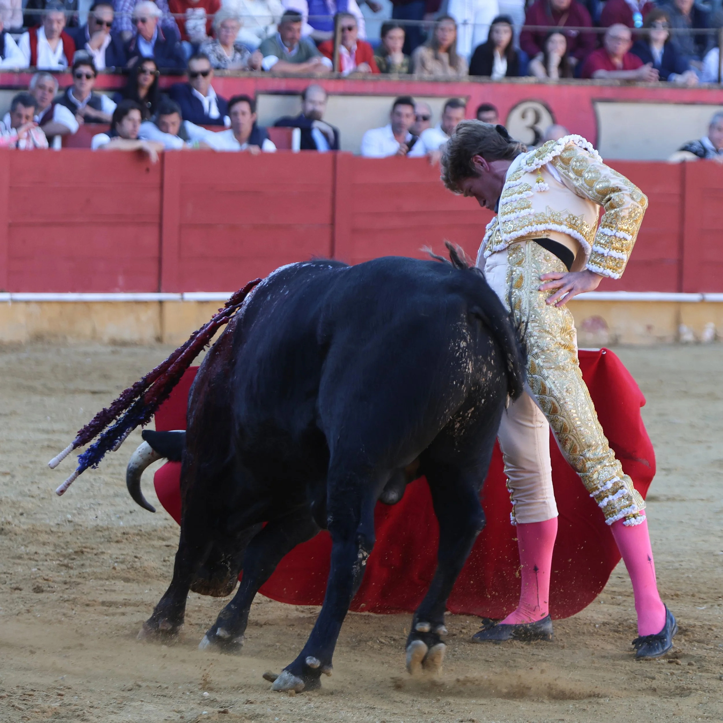 Fotografía de Mauricio Berho (copia)