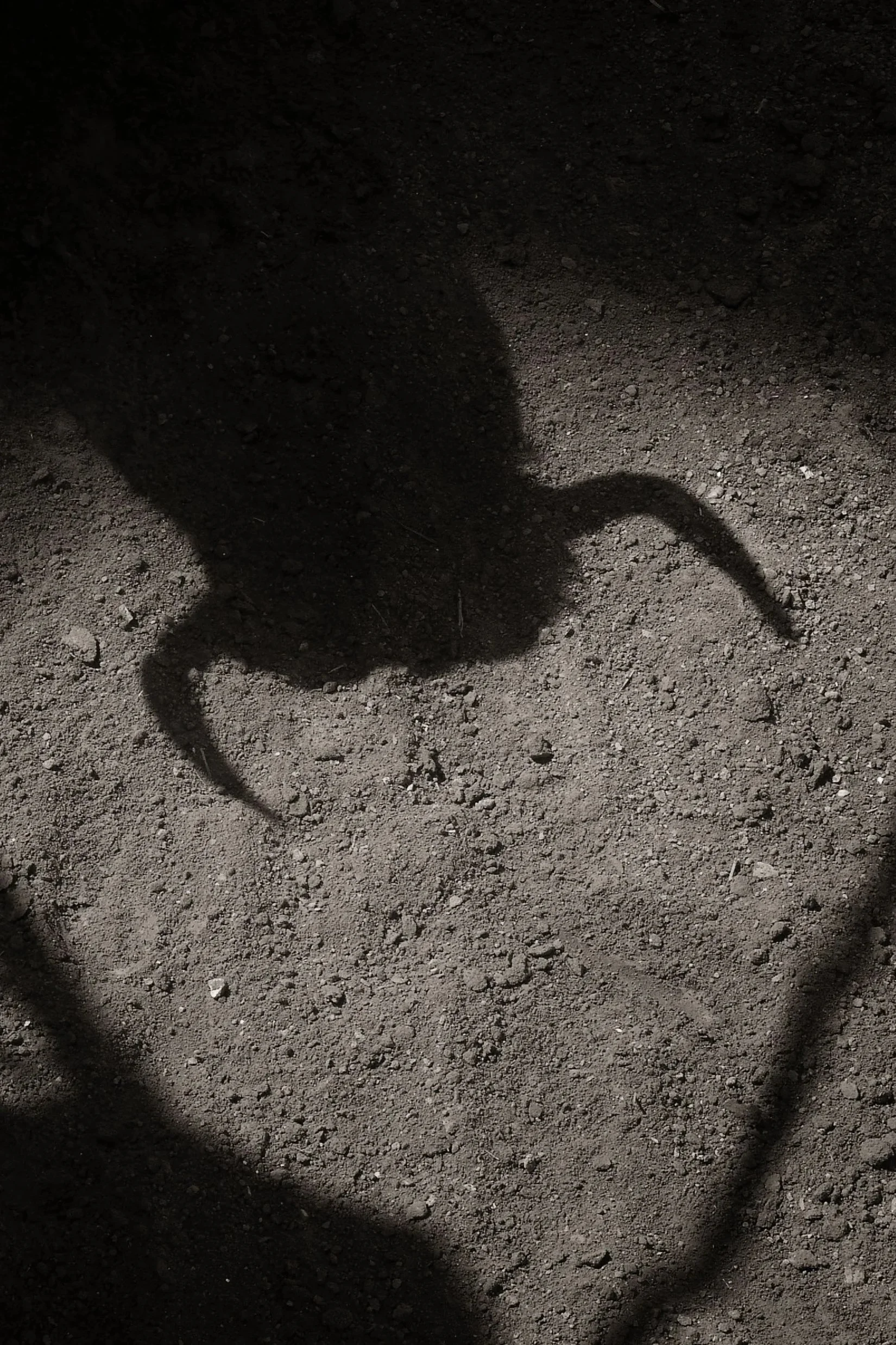 Ilusiónate con nosotros