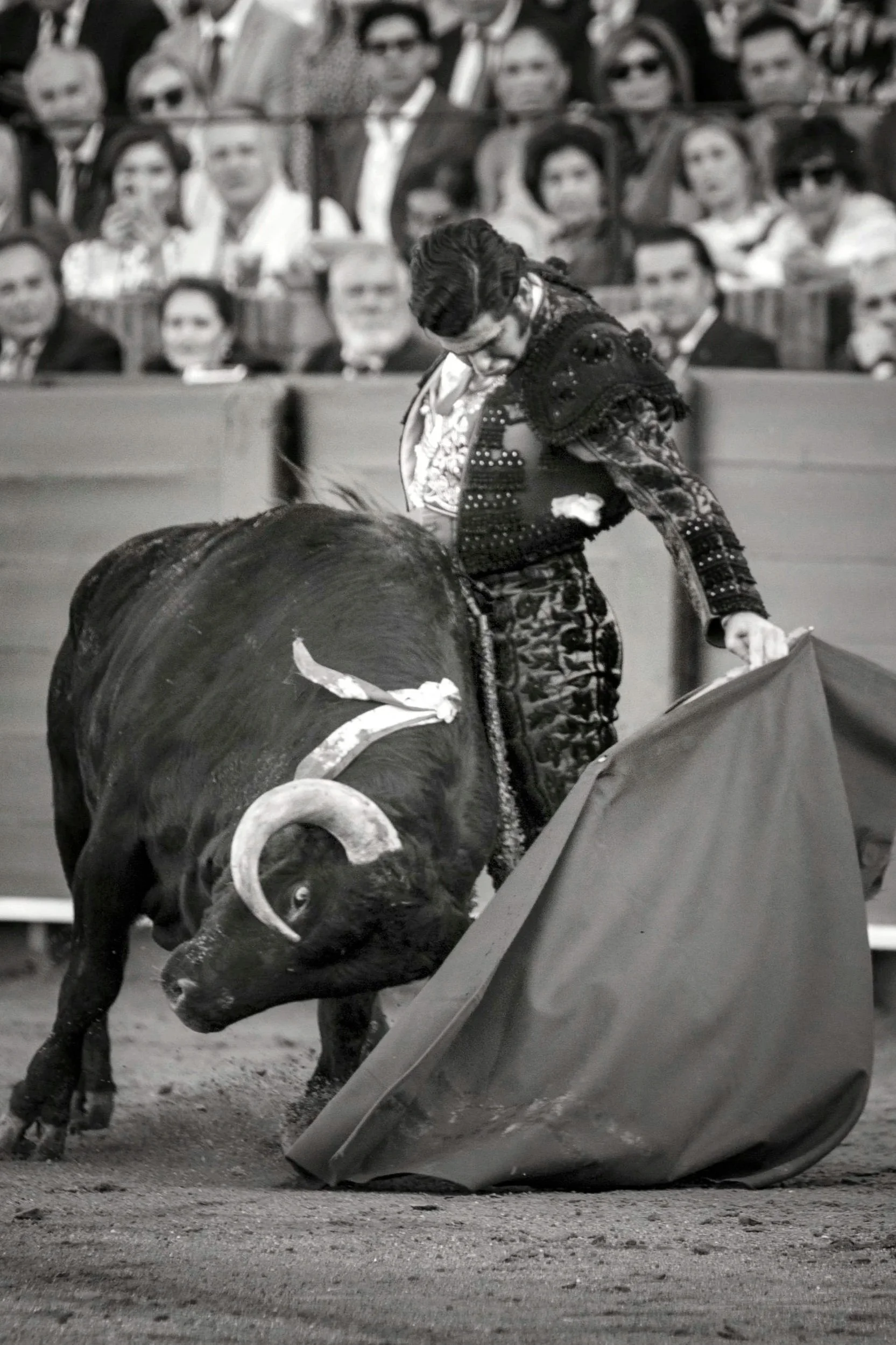 Arranca Sevilla, y con ella… Morante de la Puebla