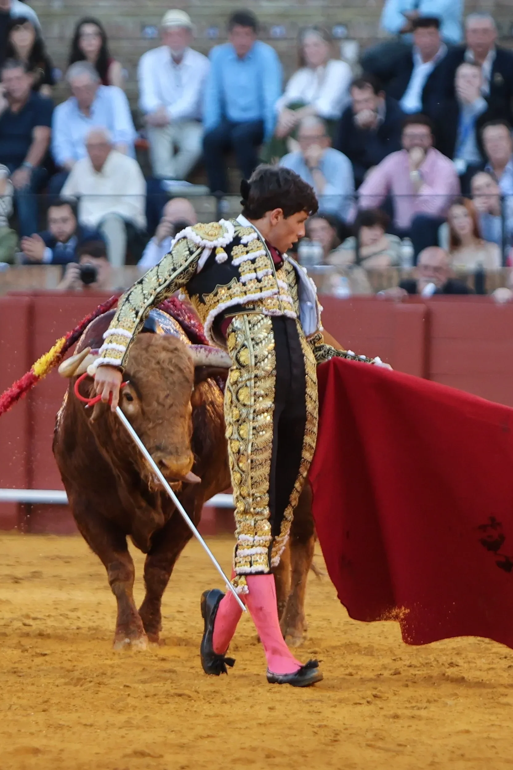 Aarón Palacio, savia nueva para la Fiesta