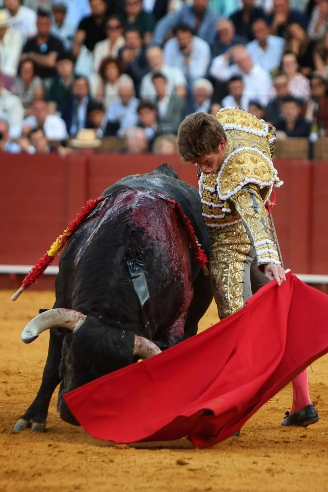 Galería de la 8º de abono en Sevilla, por Mauricio Berho 