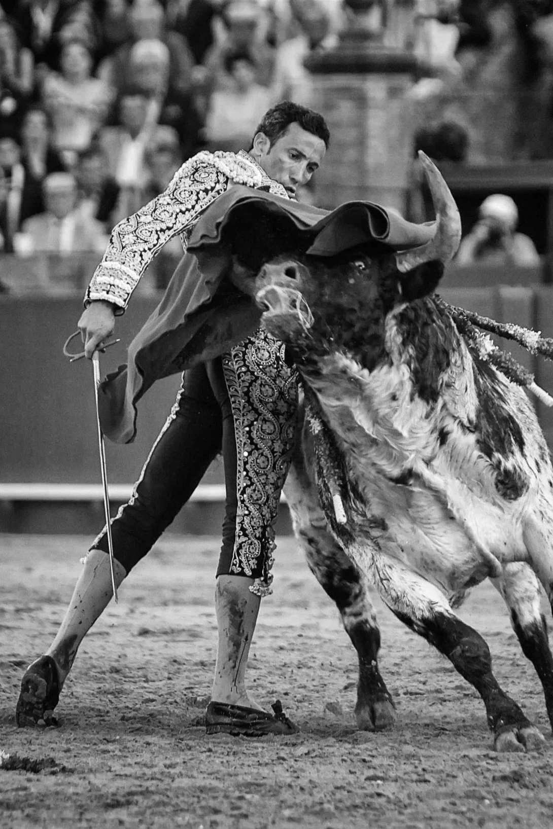 Galería de la 12º de abono en Sevilla, por Mauricio Berho 