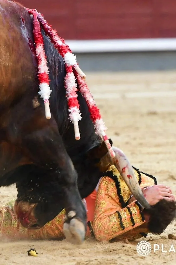 El espejismo de Palha y el peaje de la sangre de Luis Gerpe