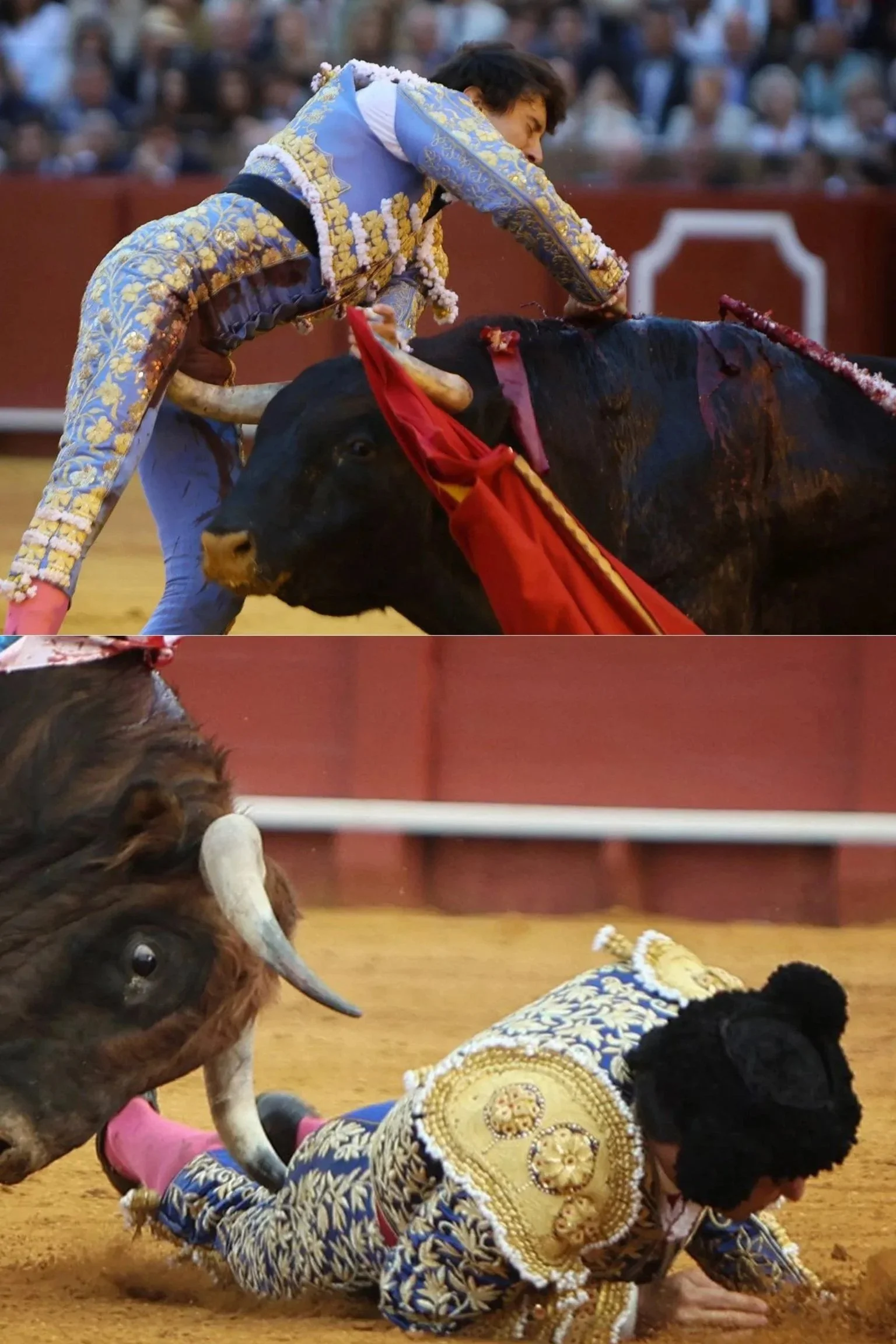 Morante decide el lunes y Roca Rey apunta a San Isidro