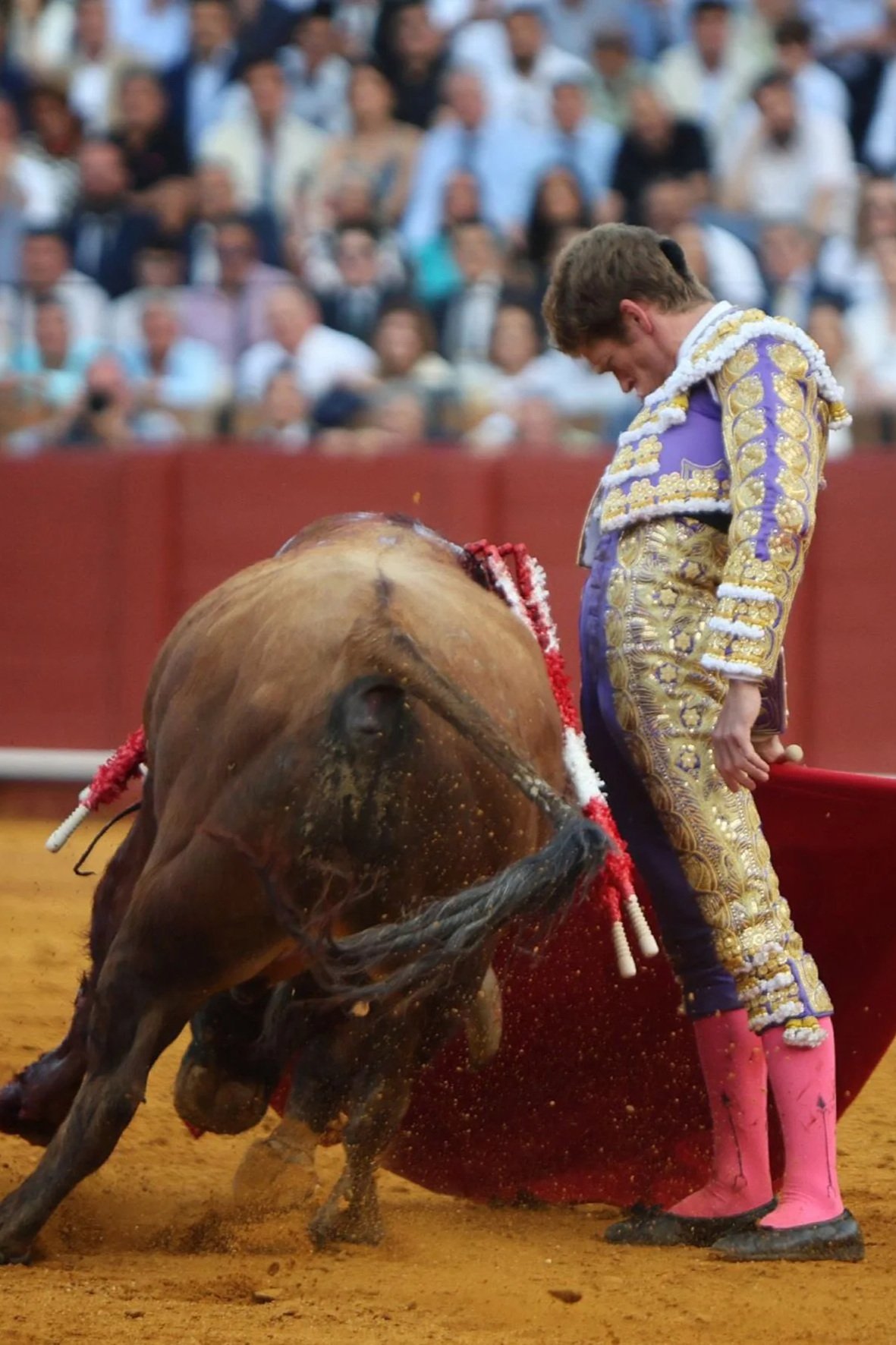 Talavante y Borja Jiménez, por Morante y Roca Rey en Valladolid.