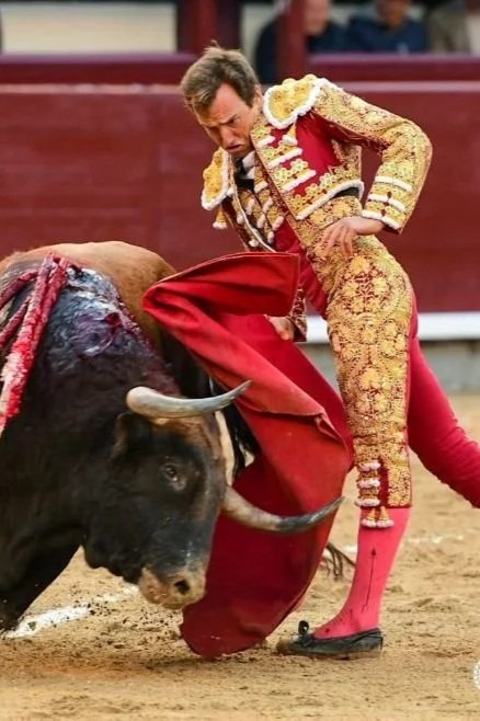 Lujo de Mayalde