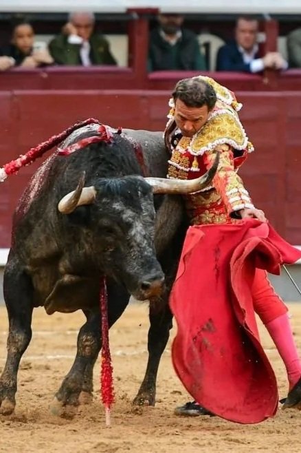 Sin bravura ni belleza