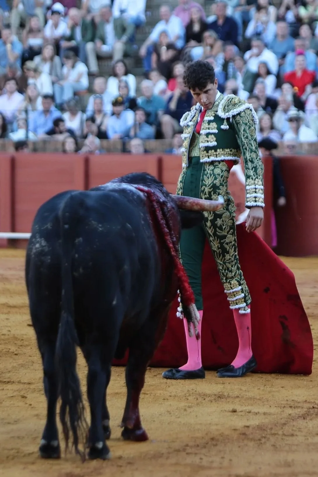 Galería de la novillada de Sevilla del 17 de mayo, por Mauricio Berho 