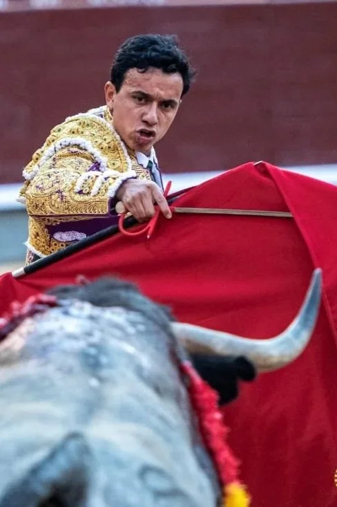 Un toro importante de Saltillo