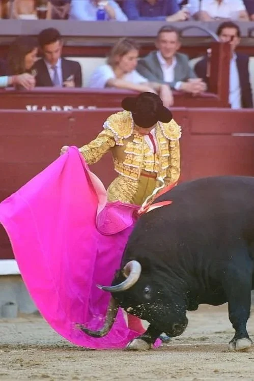 ¿Aquí no se despeina nadie?