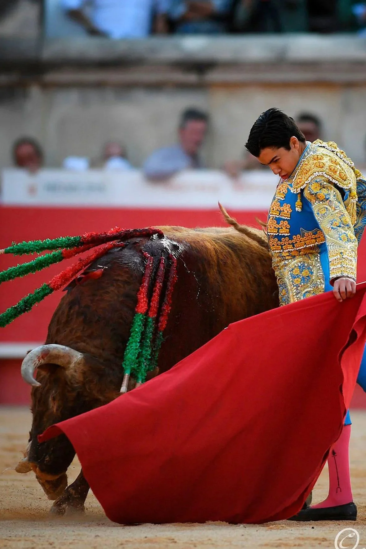 Más allá del niño prodigio