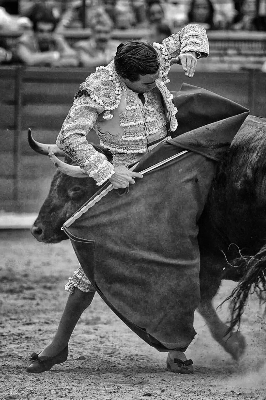 Galería de la corrida de la Feria de Córdoba en la que Juan Ortega corta dos orejas.