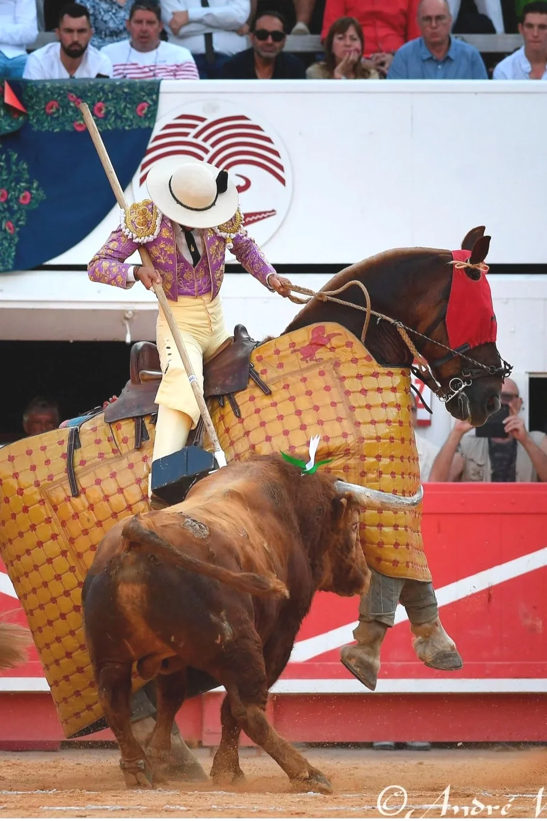 Galería de la 6º de la Feria de Nimes. Mano a mano  Borja Jiménez y Clemente
