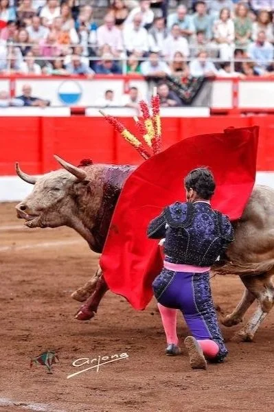 Feria de Santander: con matices, el modelo a seguir