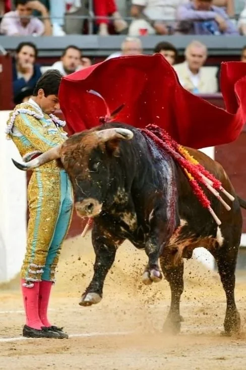 Triunfar y deleitar