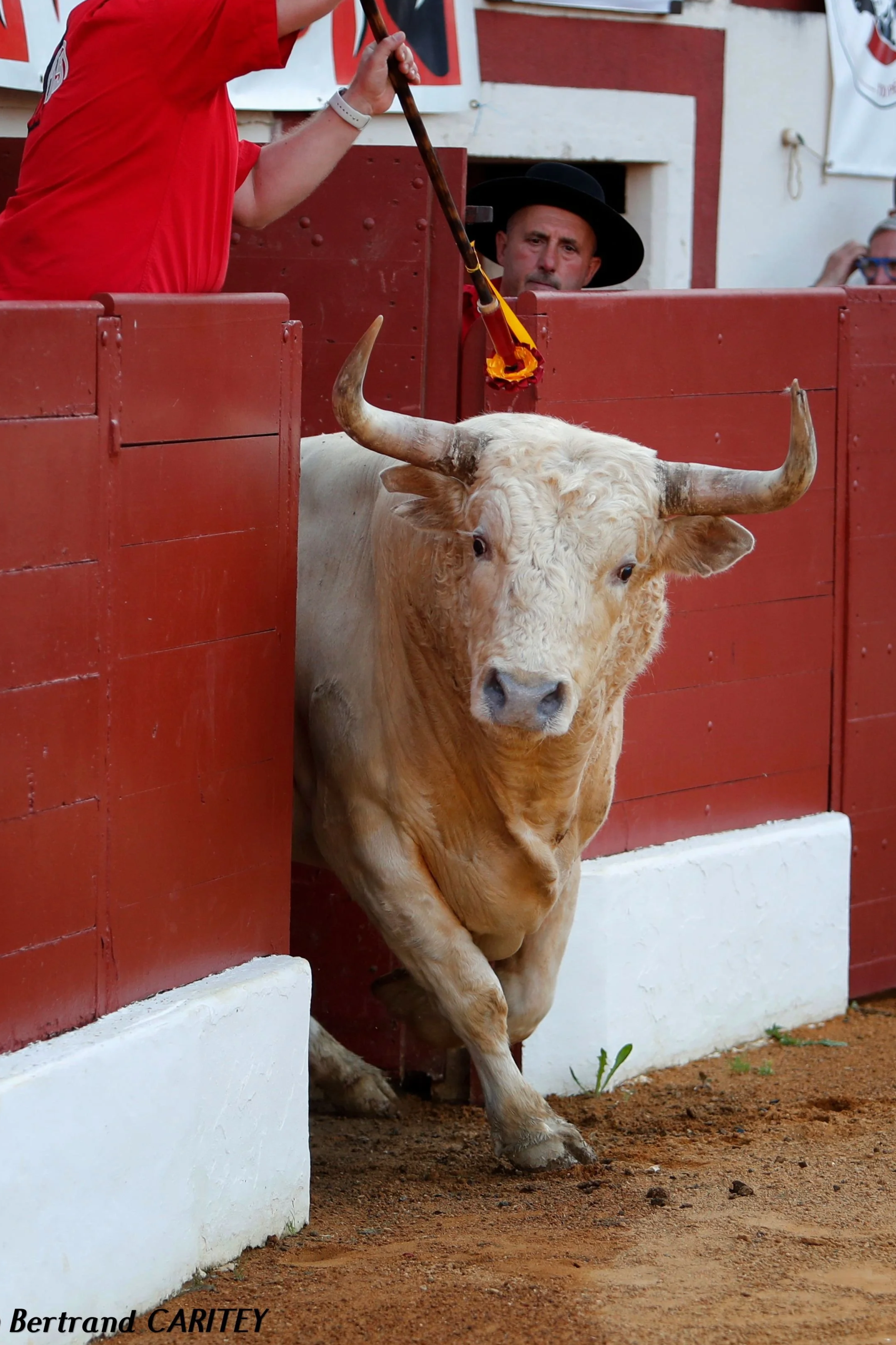 Galería de la Feria de Vic-Fezensac por Bertrand Caritey