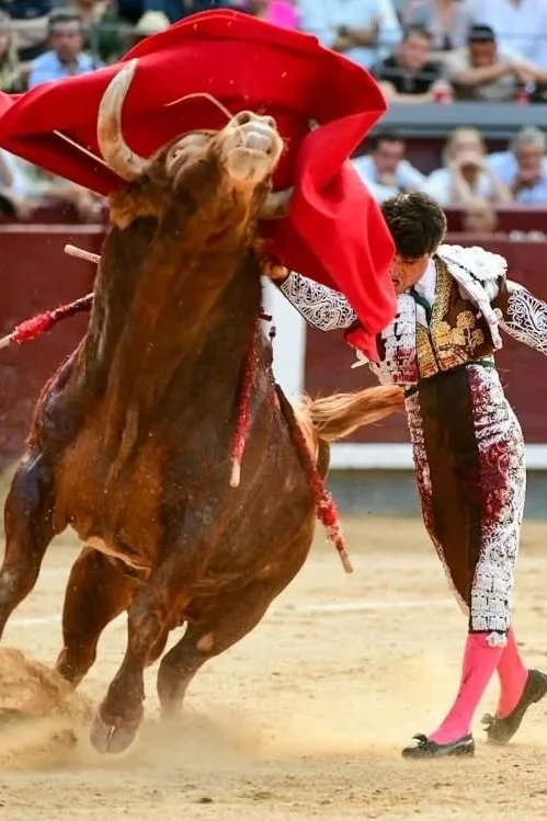 Madrid ruge con Jarocho