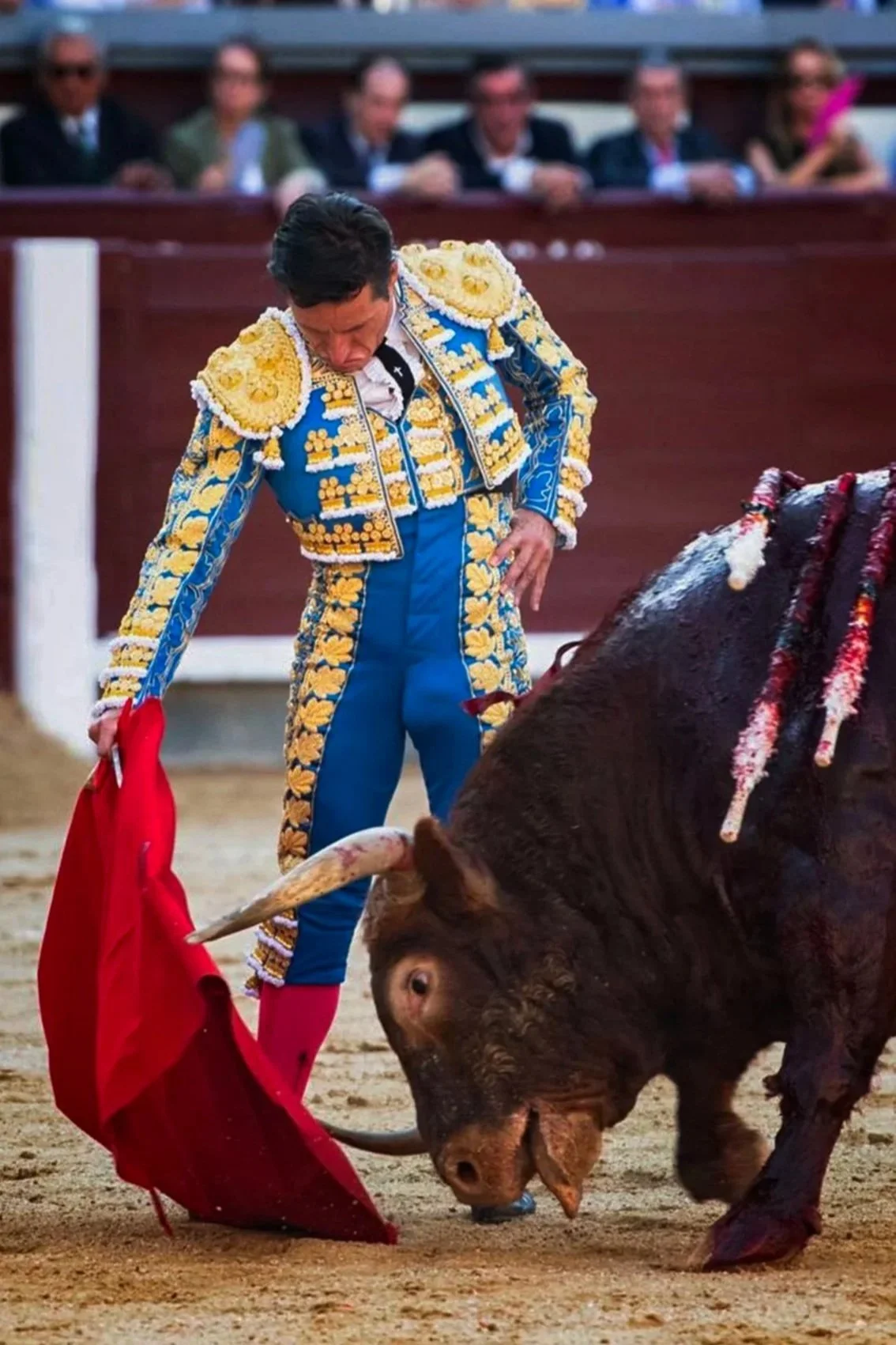 Felipe VI ya sabe lo que es torear