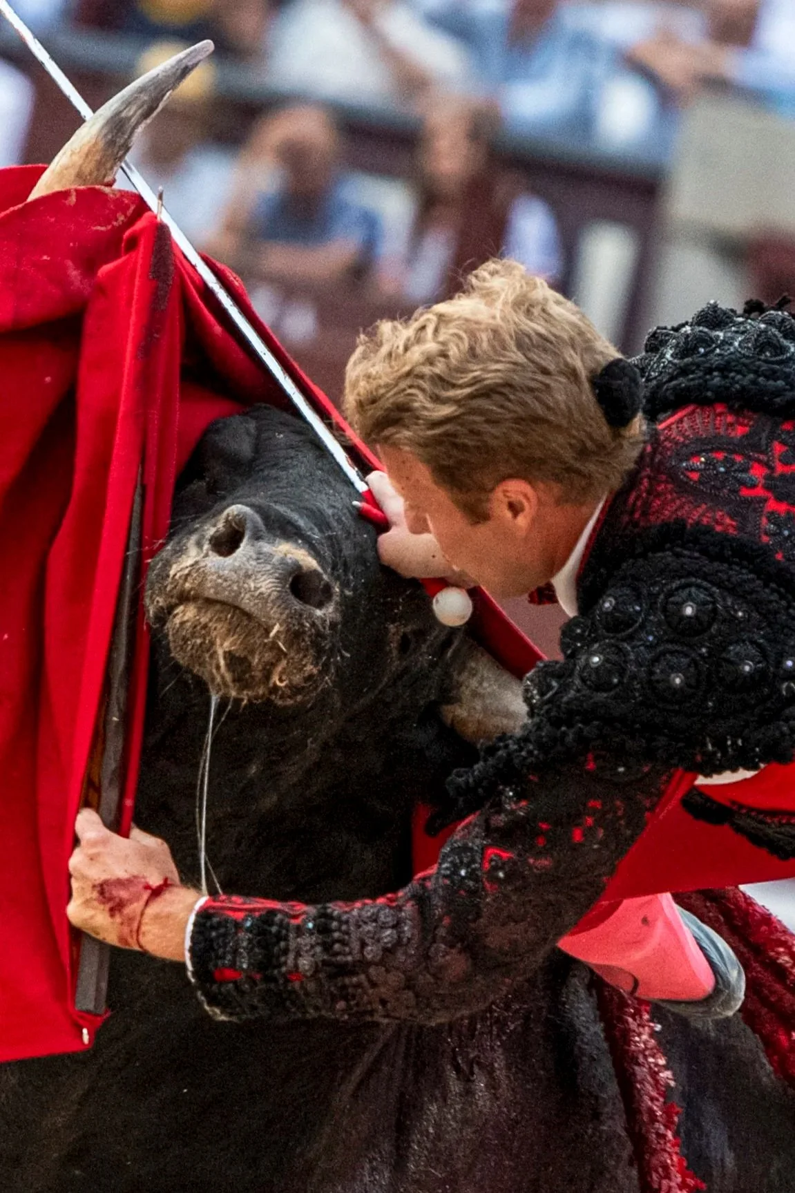 Galería de la 25º de abono de la Feria de San Isidro 2026. 