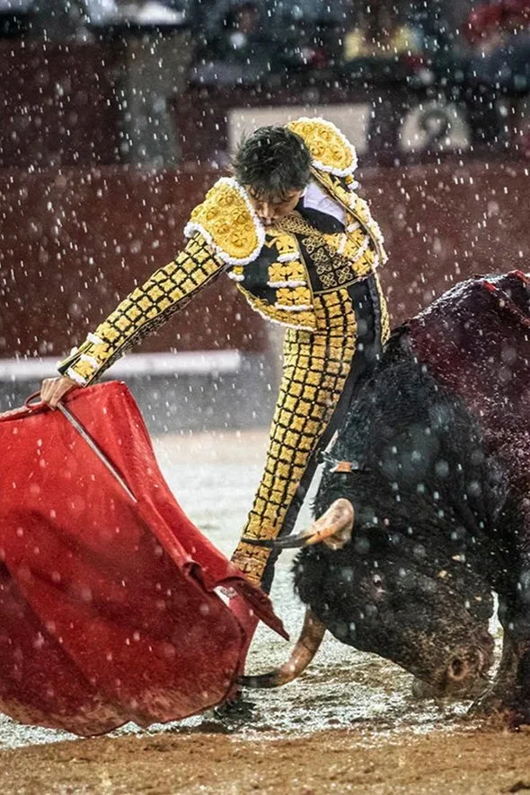 Galería de la Corrida de Beneficencia en Madrid 