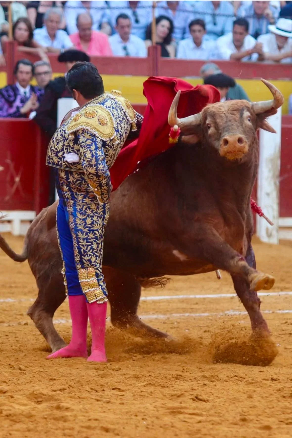 TOREO Y CASTA,&nbsp;LA SÍNTESIS DE LA FIESTA
