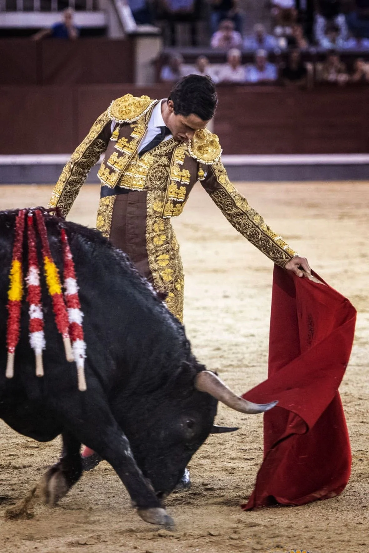 Galería de la 1ª novillada del certamen ‘Cénate Las Ventas’