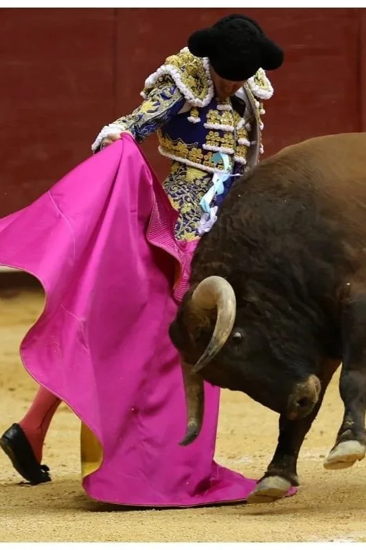 Galería de la triunfal tarde de Borja Jiménez y Marco Pérez en Burgos