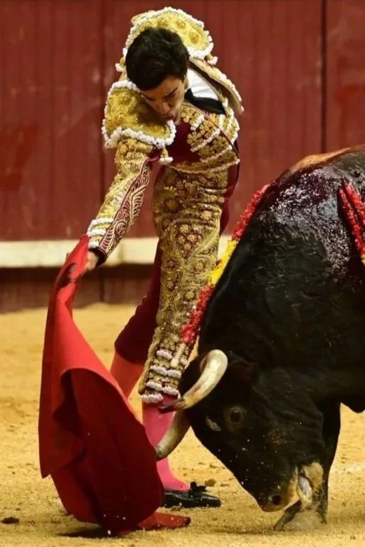 Reseña y galería de la Puerta Grande de Tomás Rufo en Burgos