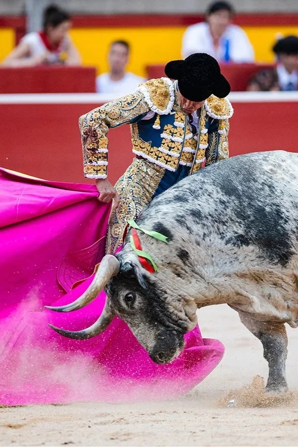 Seis toros nobles de Cebada Gago