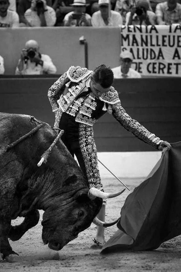 Céret, una singularidad necesaria (Galería)