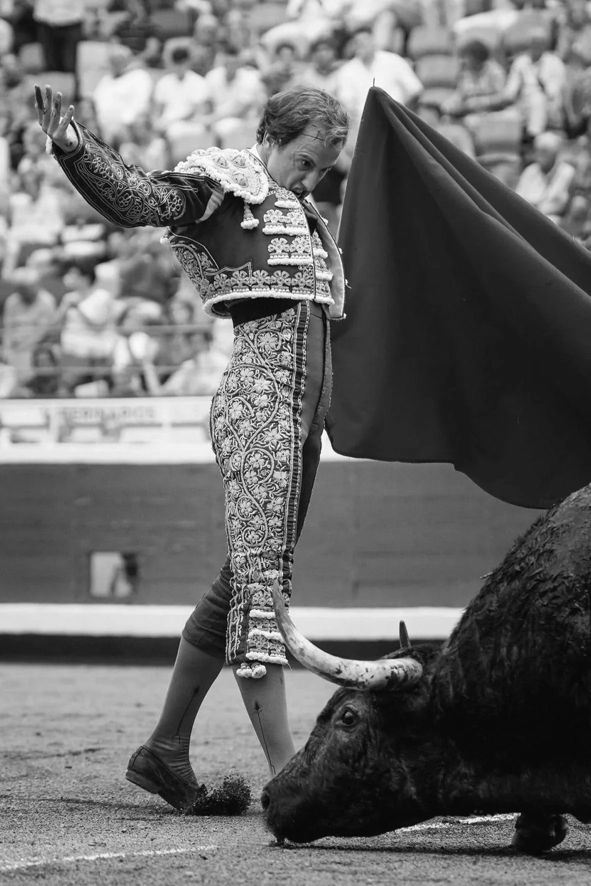 Galería de la corrida de La Quinta en Bilbao