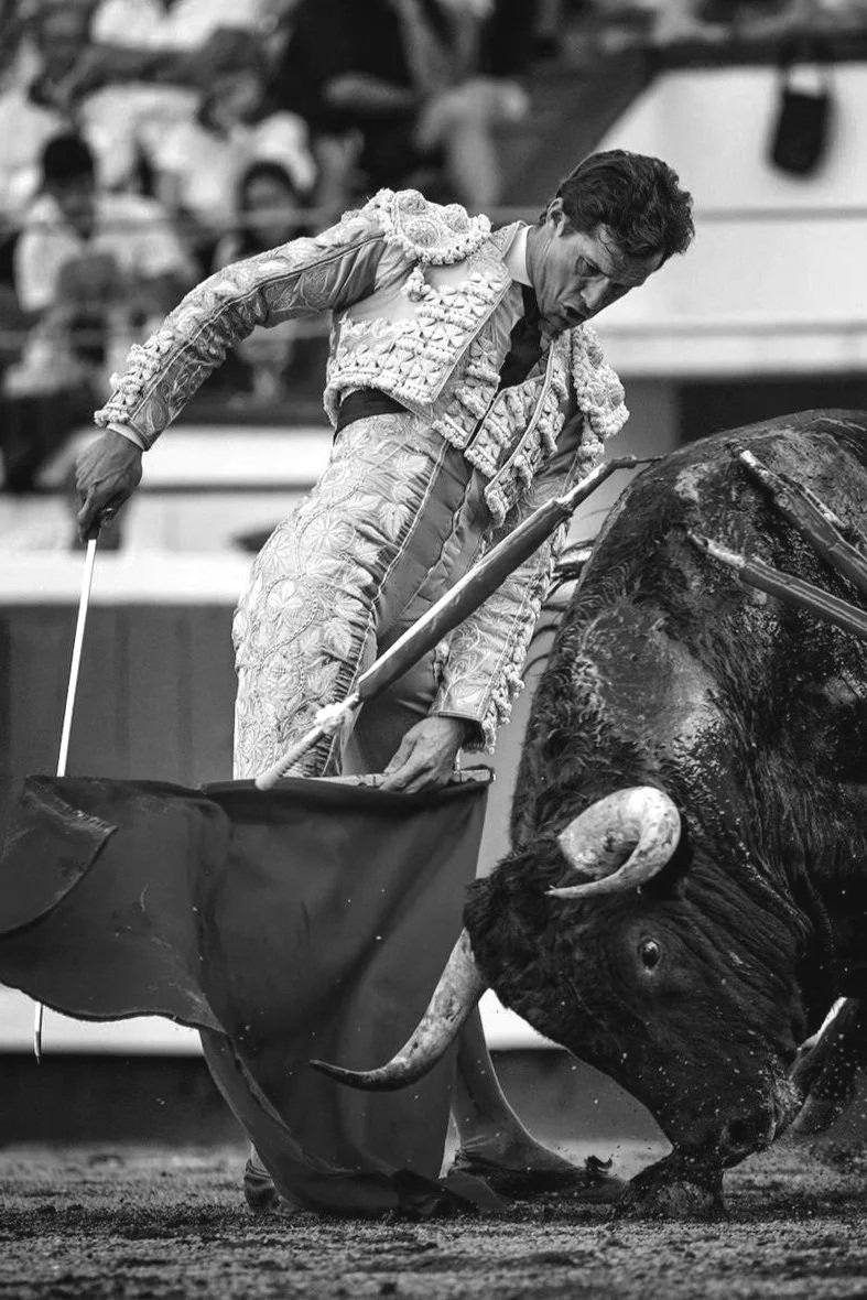 Galería de la 6º corrida del abono en Bilbao 