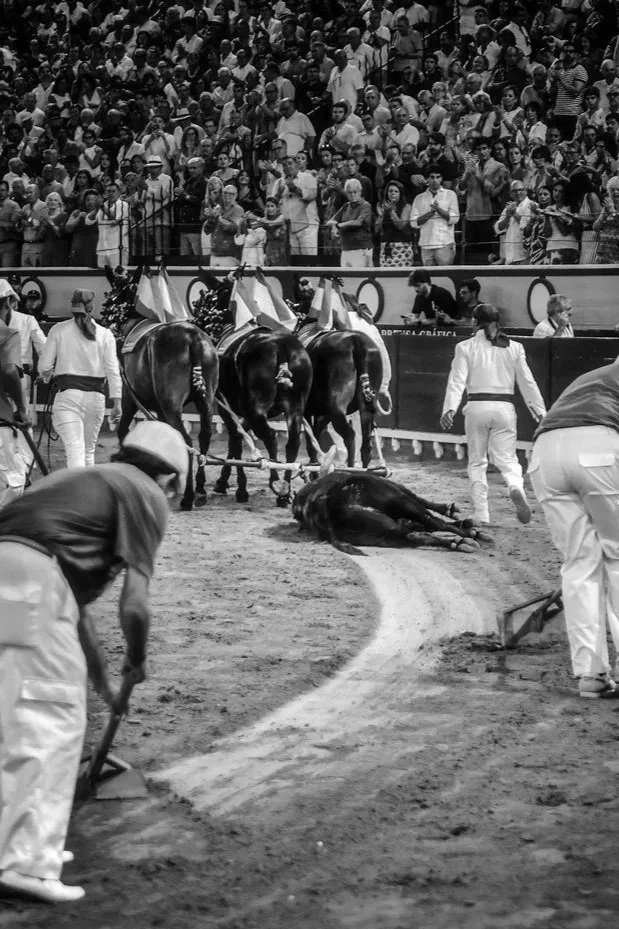 El indulto y el aguafiestas