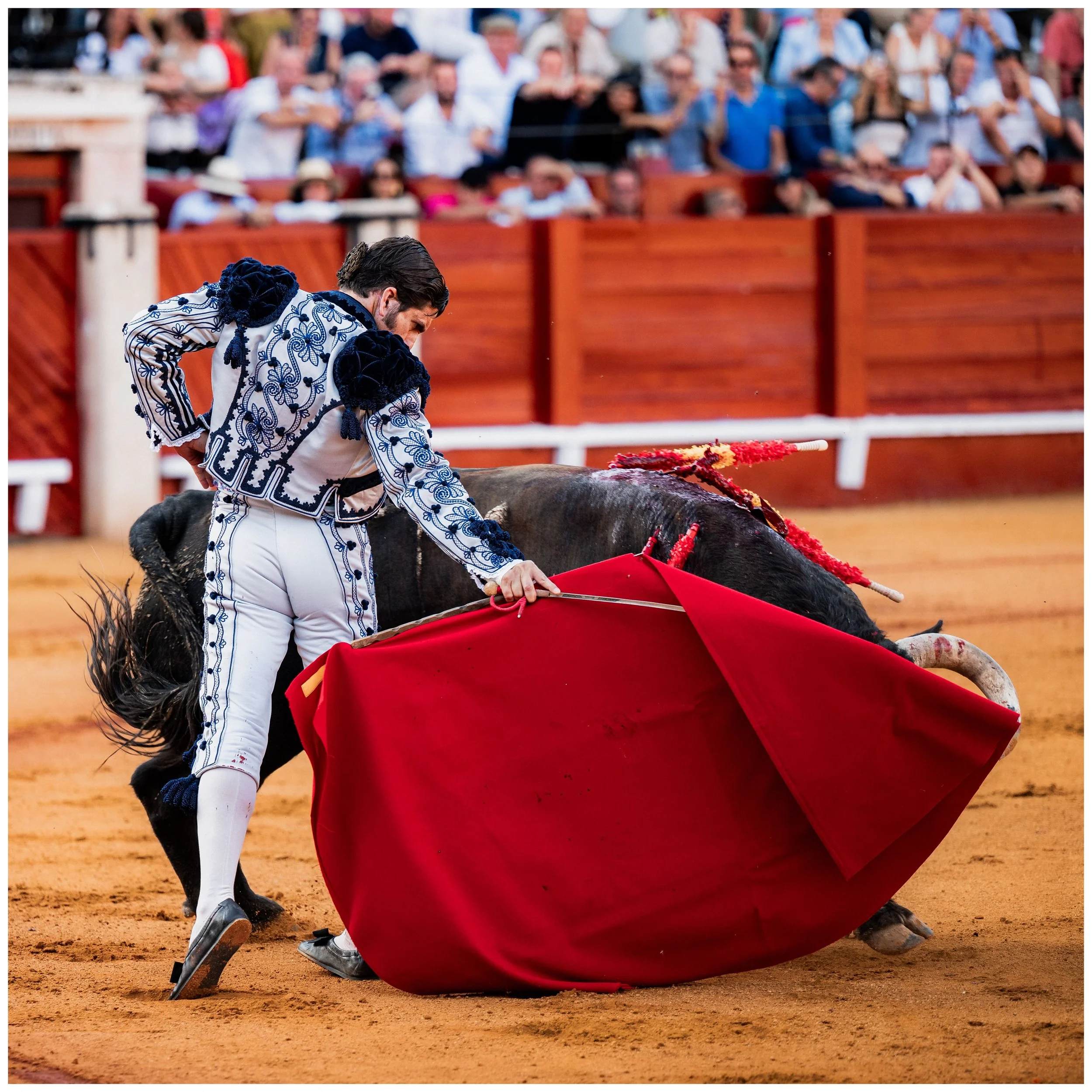aranjuez-32.JPG