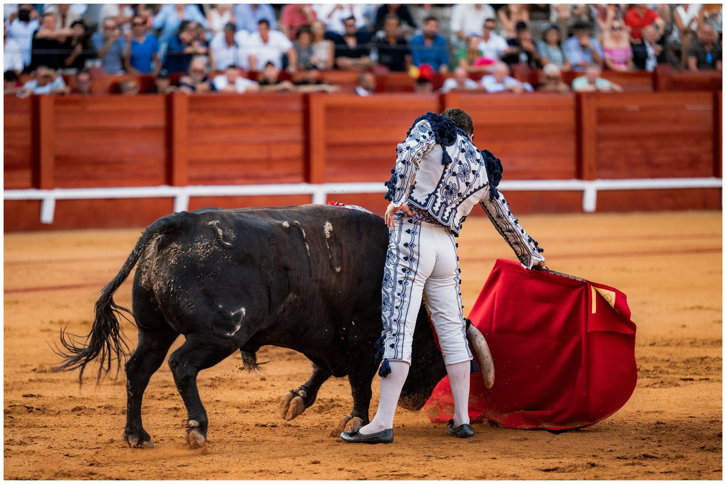 aranjuez-34.JPG
