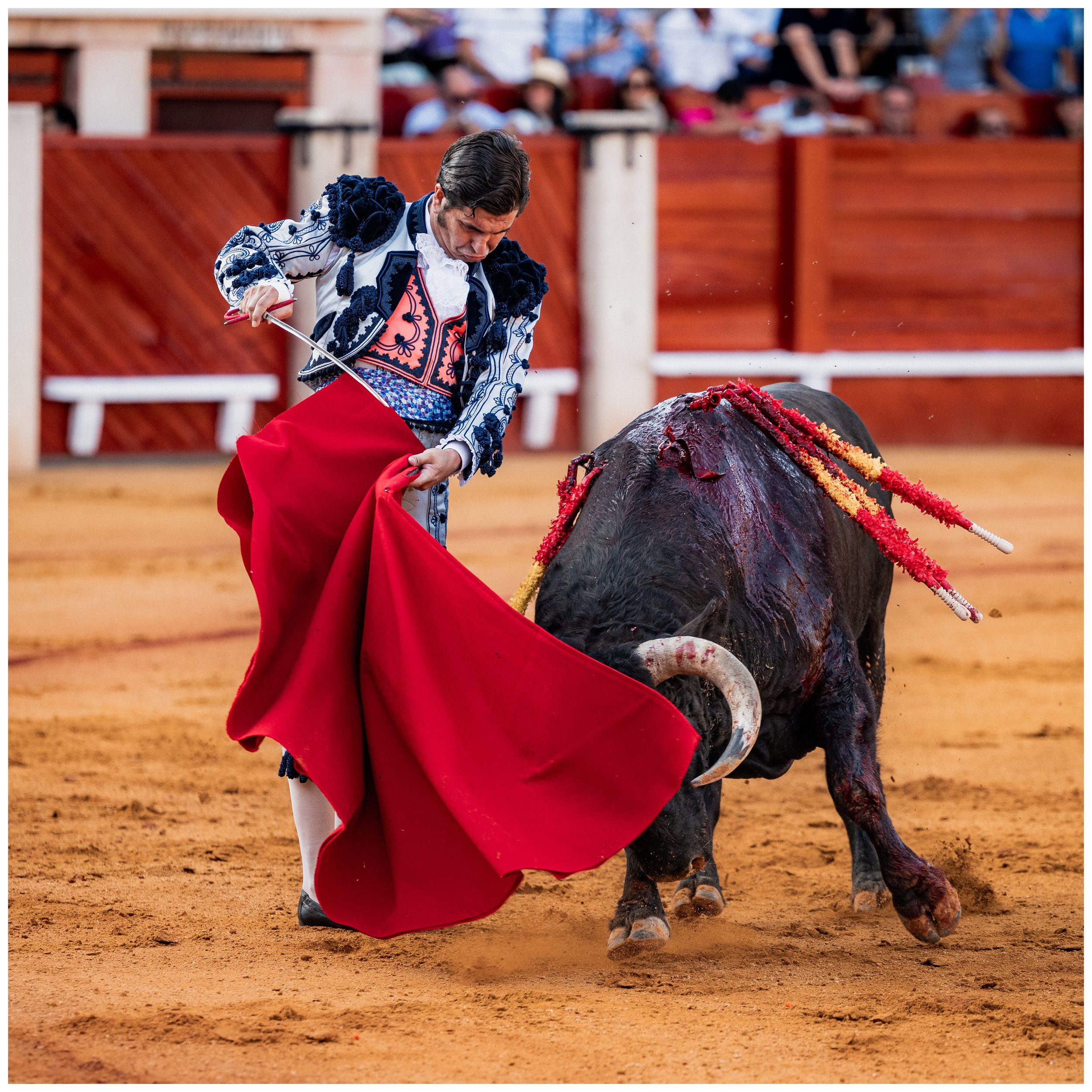 aranjuez-36.JPG