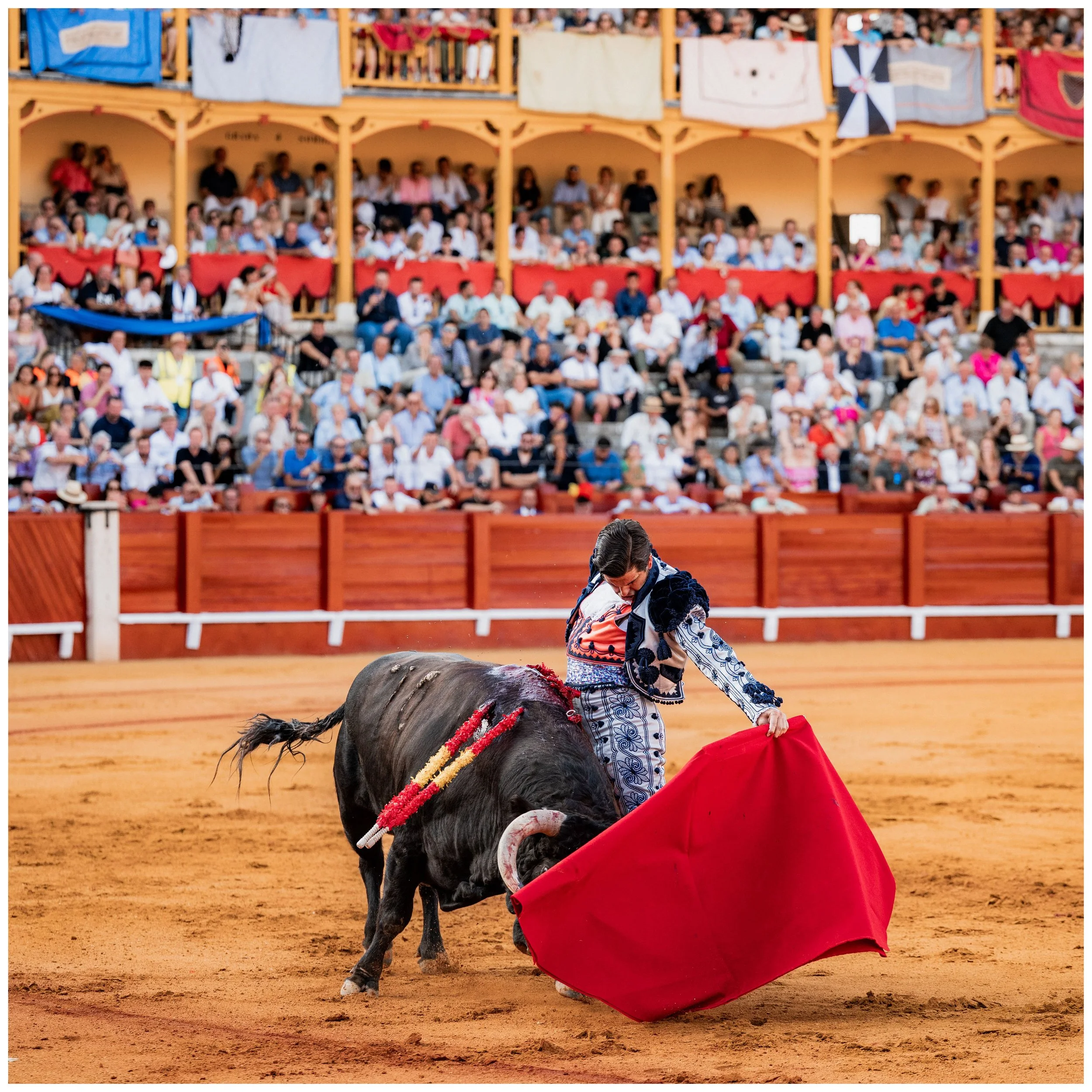 aranjuez-37.JPG