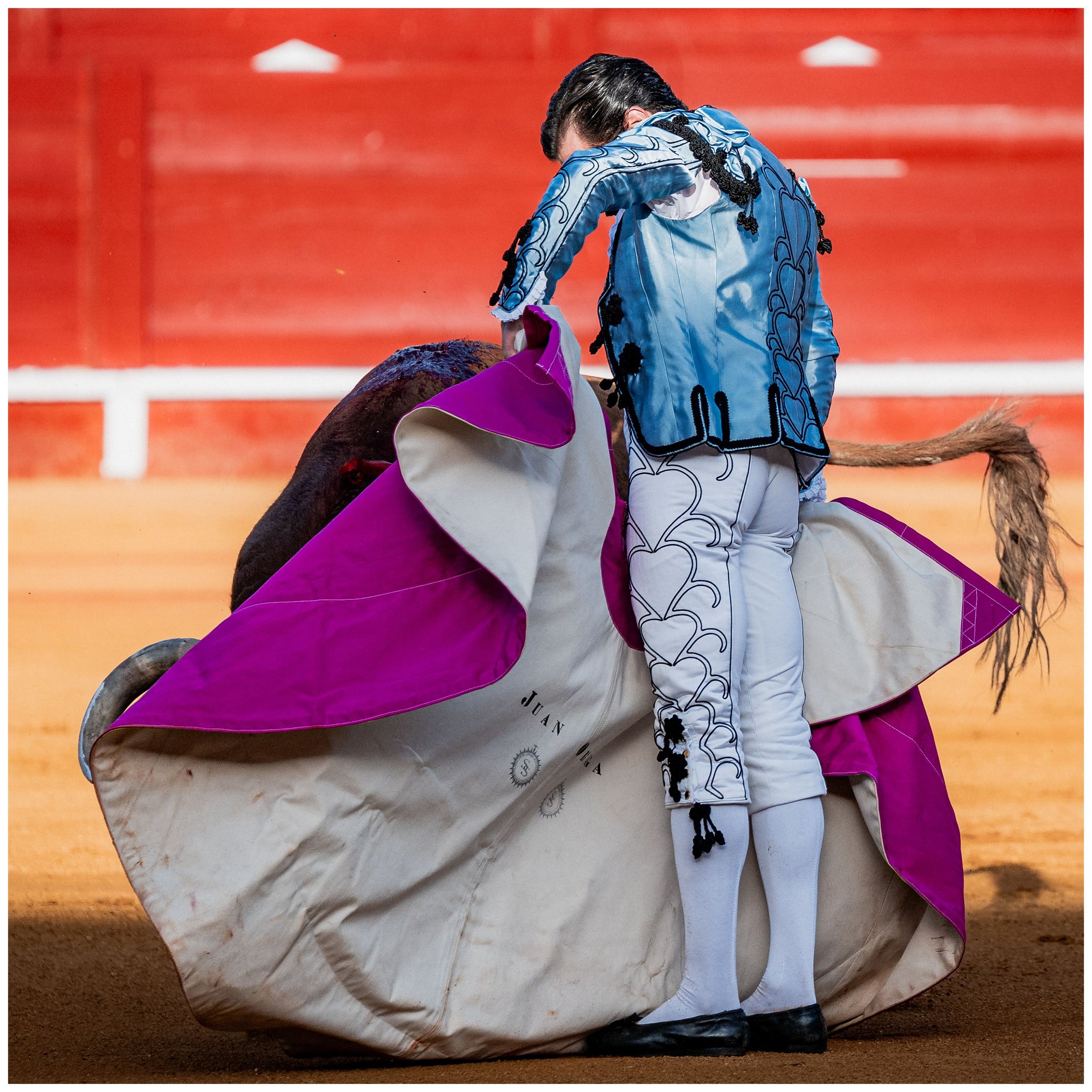 aranjuez-54.JPG