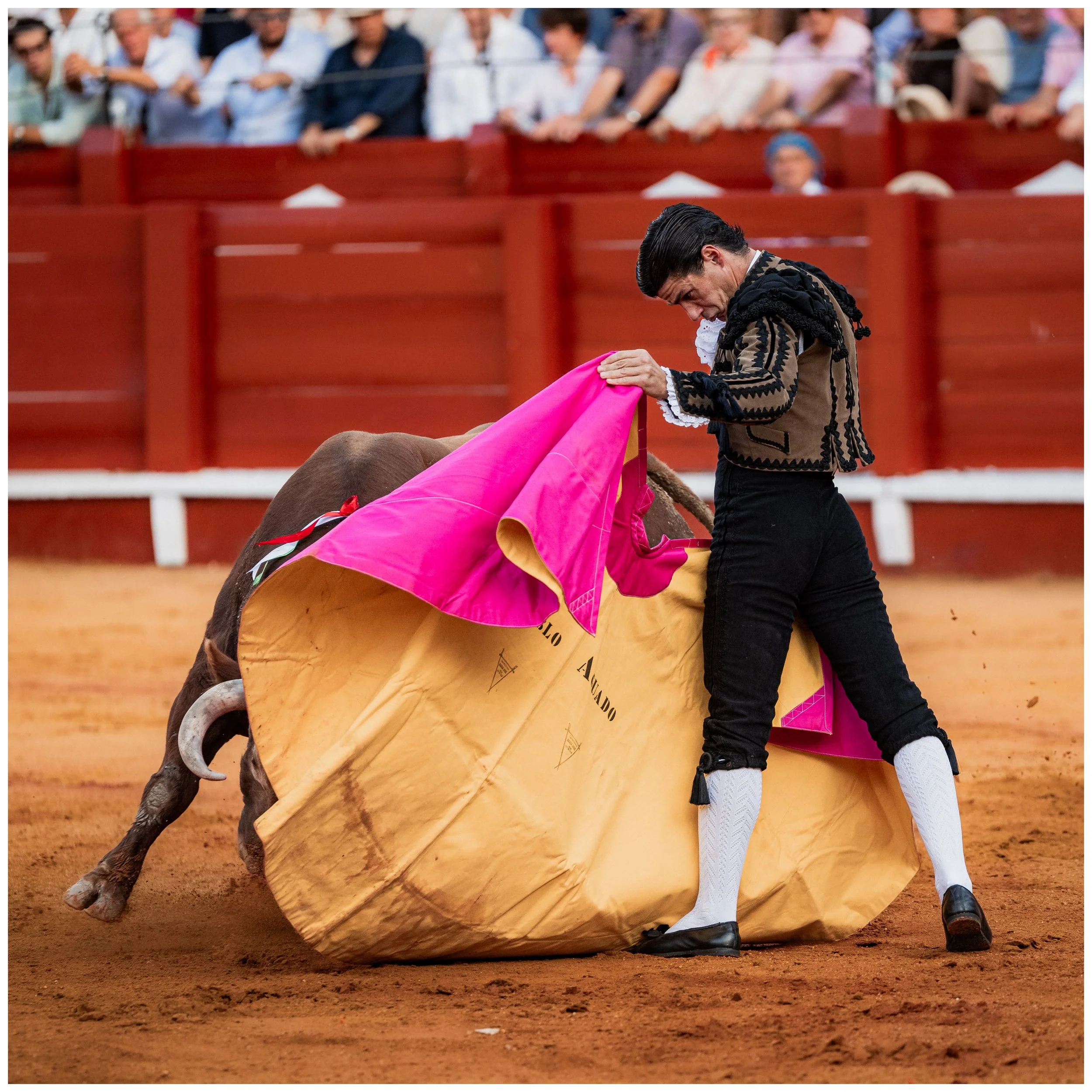aranjuez-68.JPG