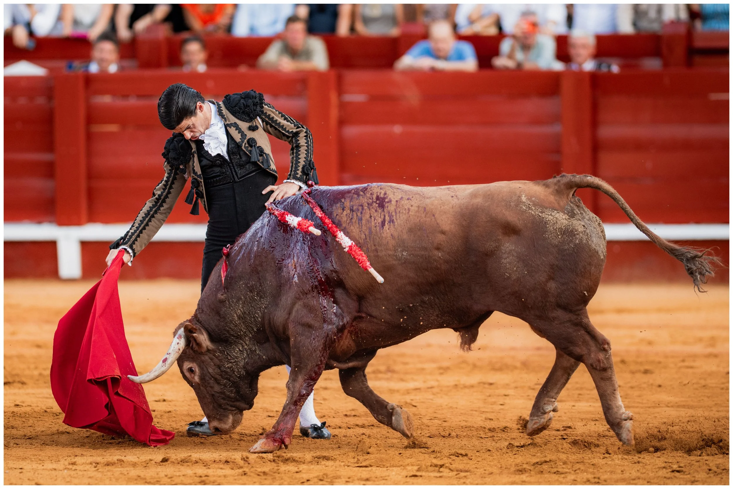 aranjuez-69.JPG