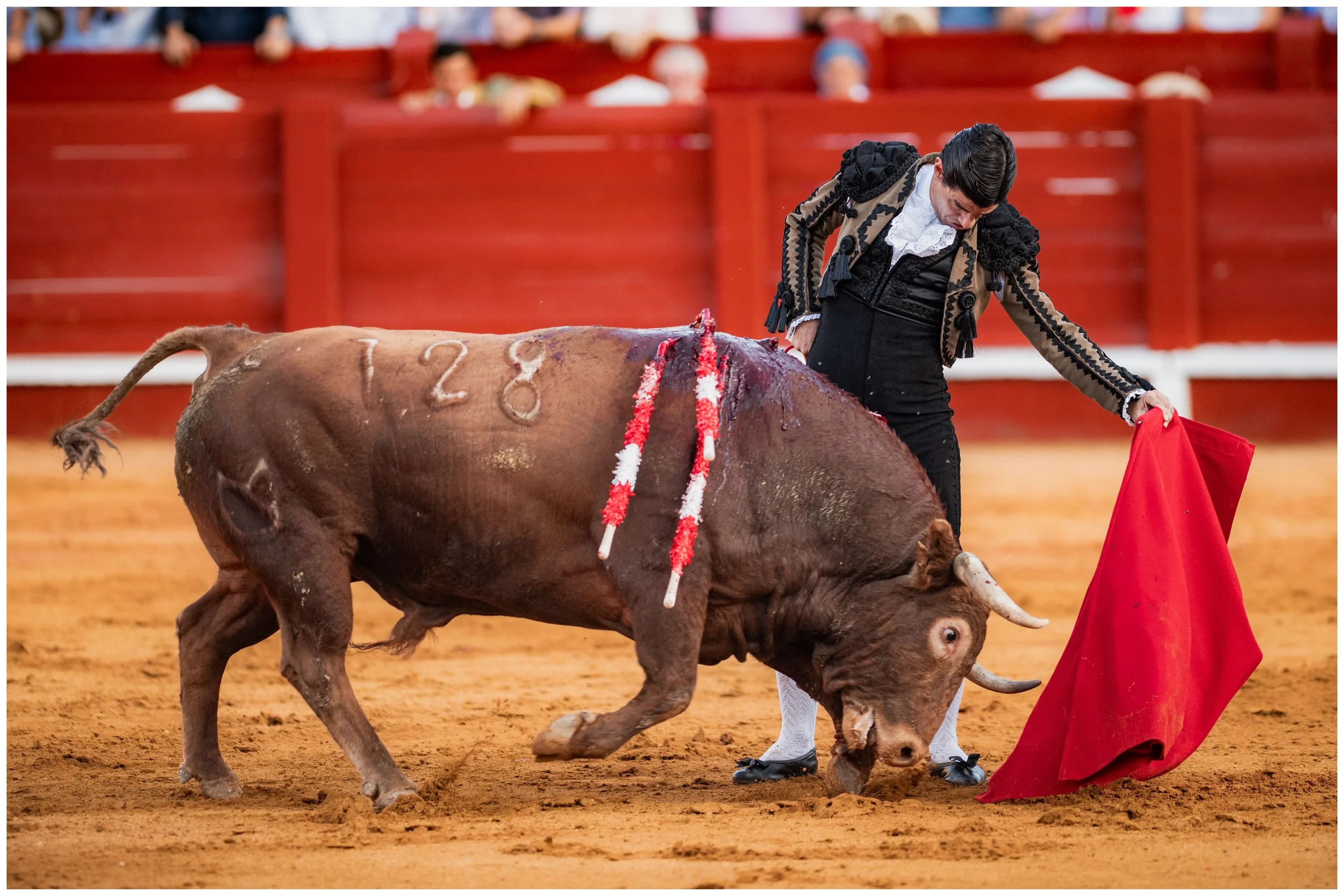 aranjuez-71.JPG