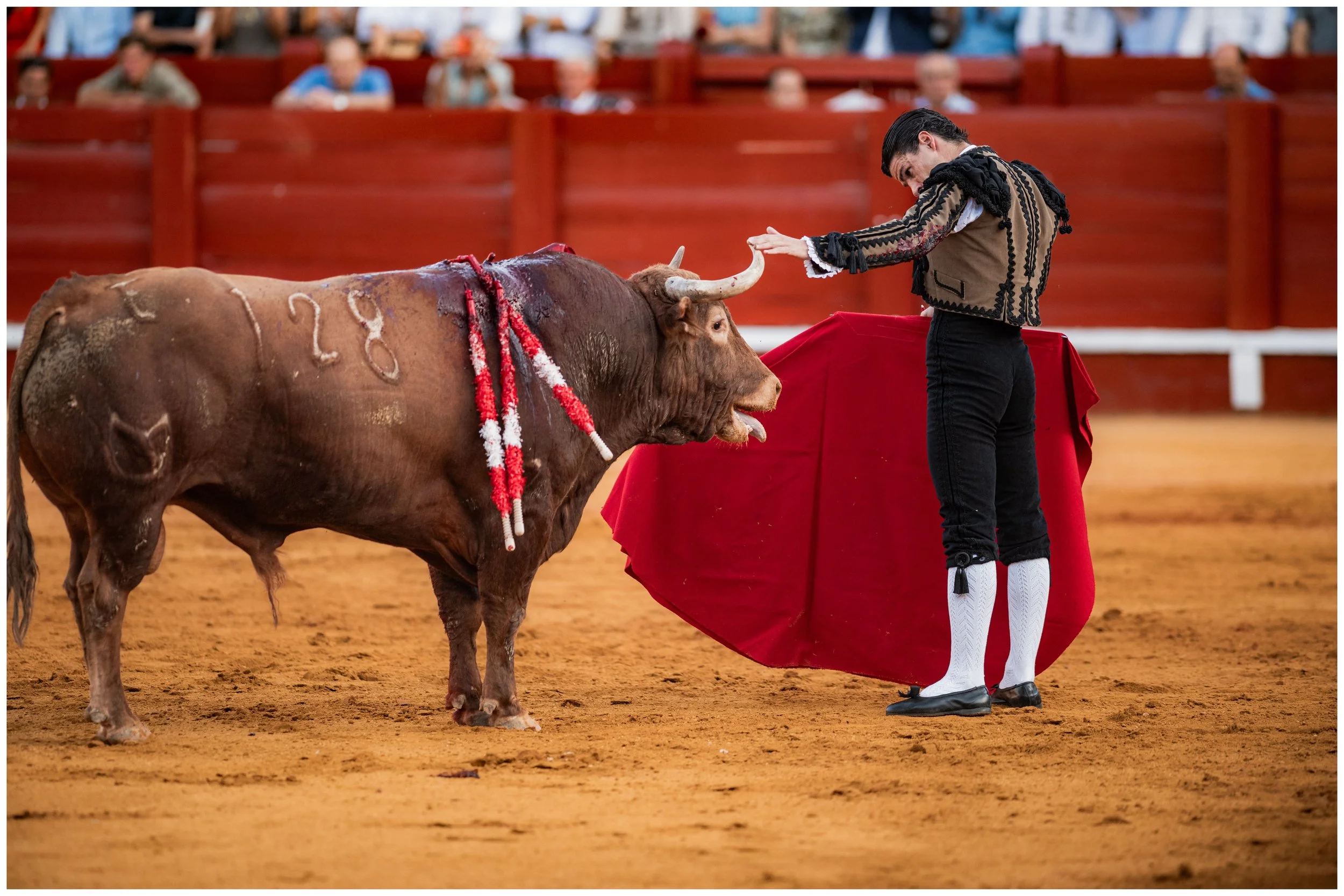 aranjuez-72.JPG