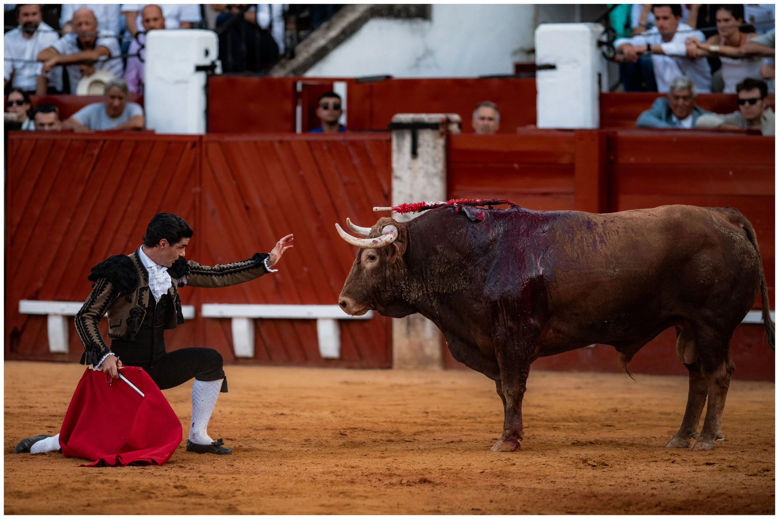 aranjuez-77.JPG