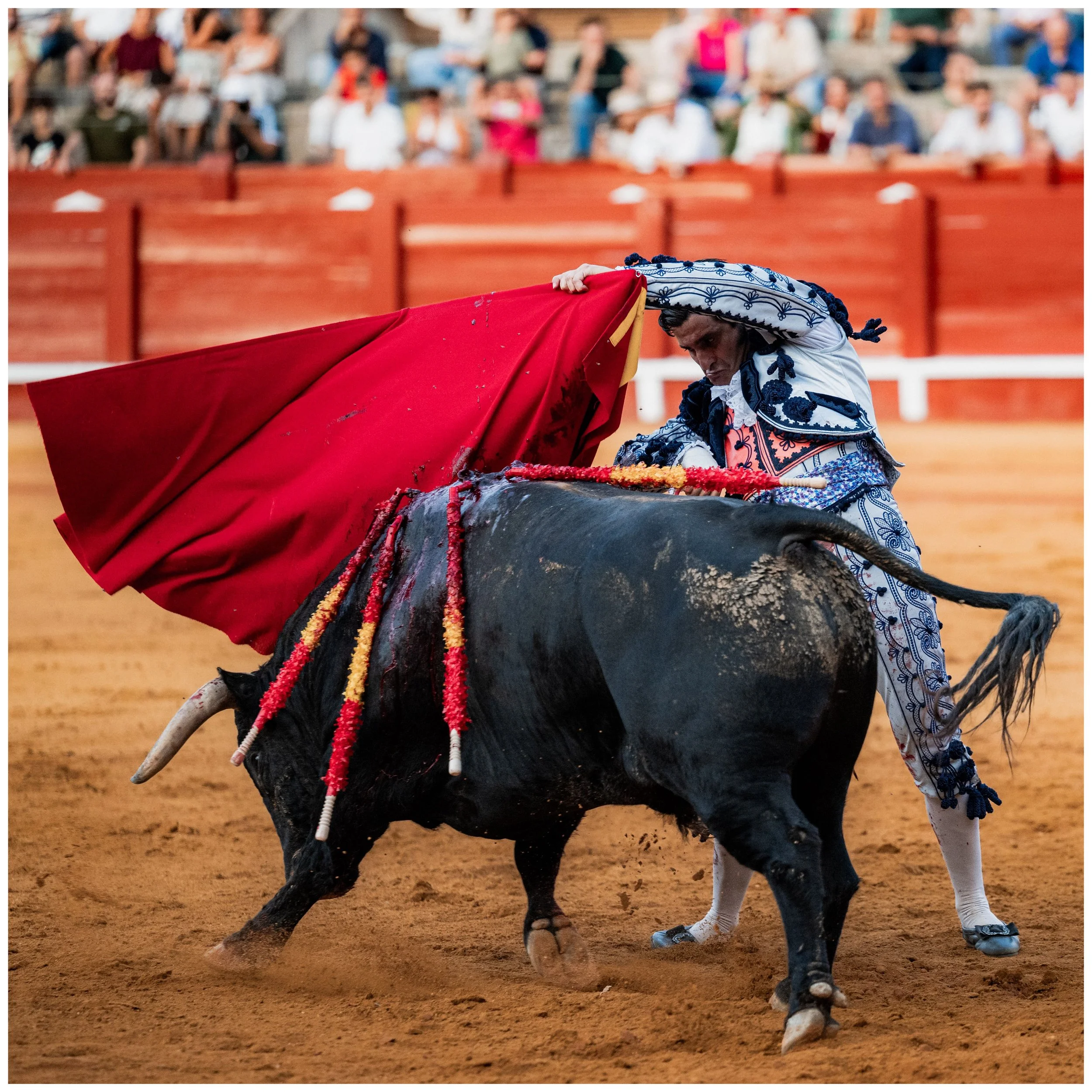 aranjuez-91.JPG