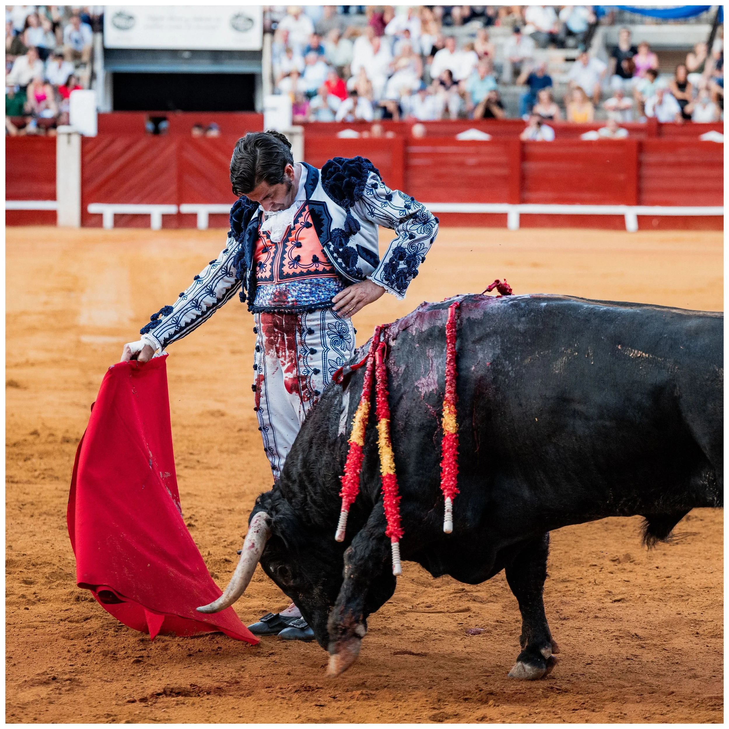 aranjuez-96.JPG