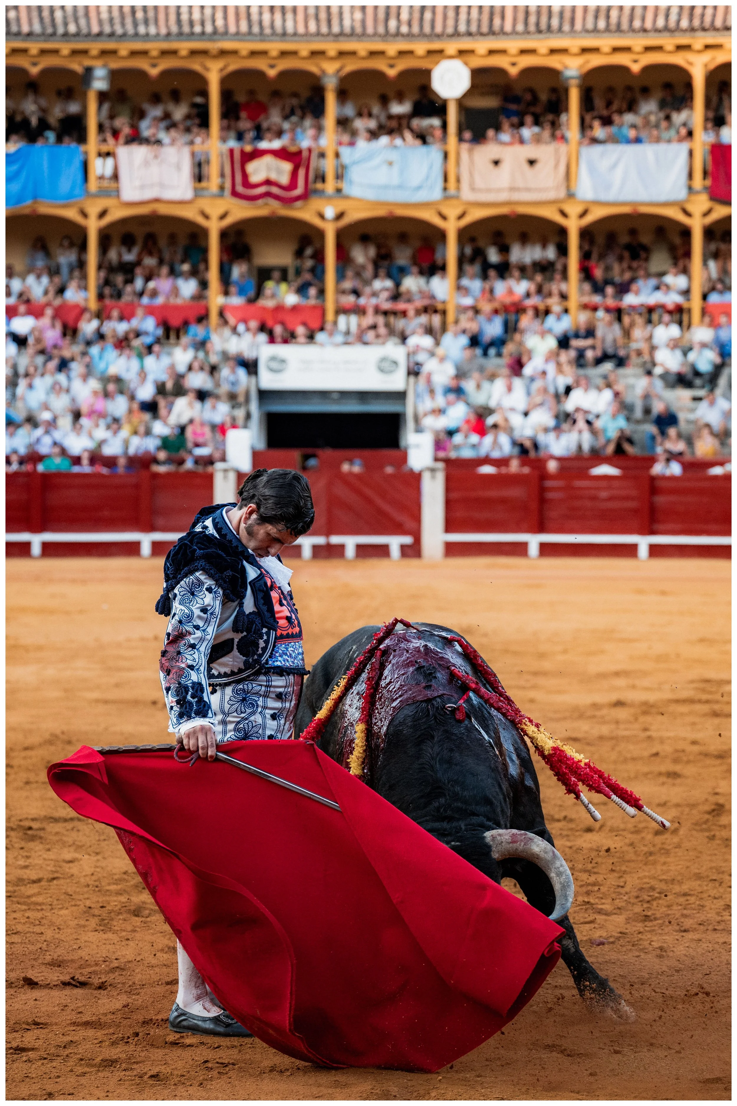 aranjuez-97.JPG