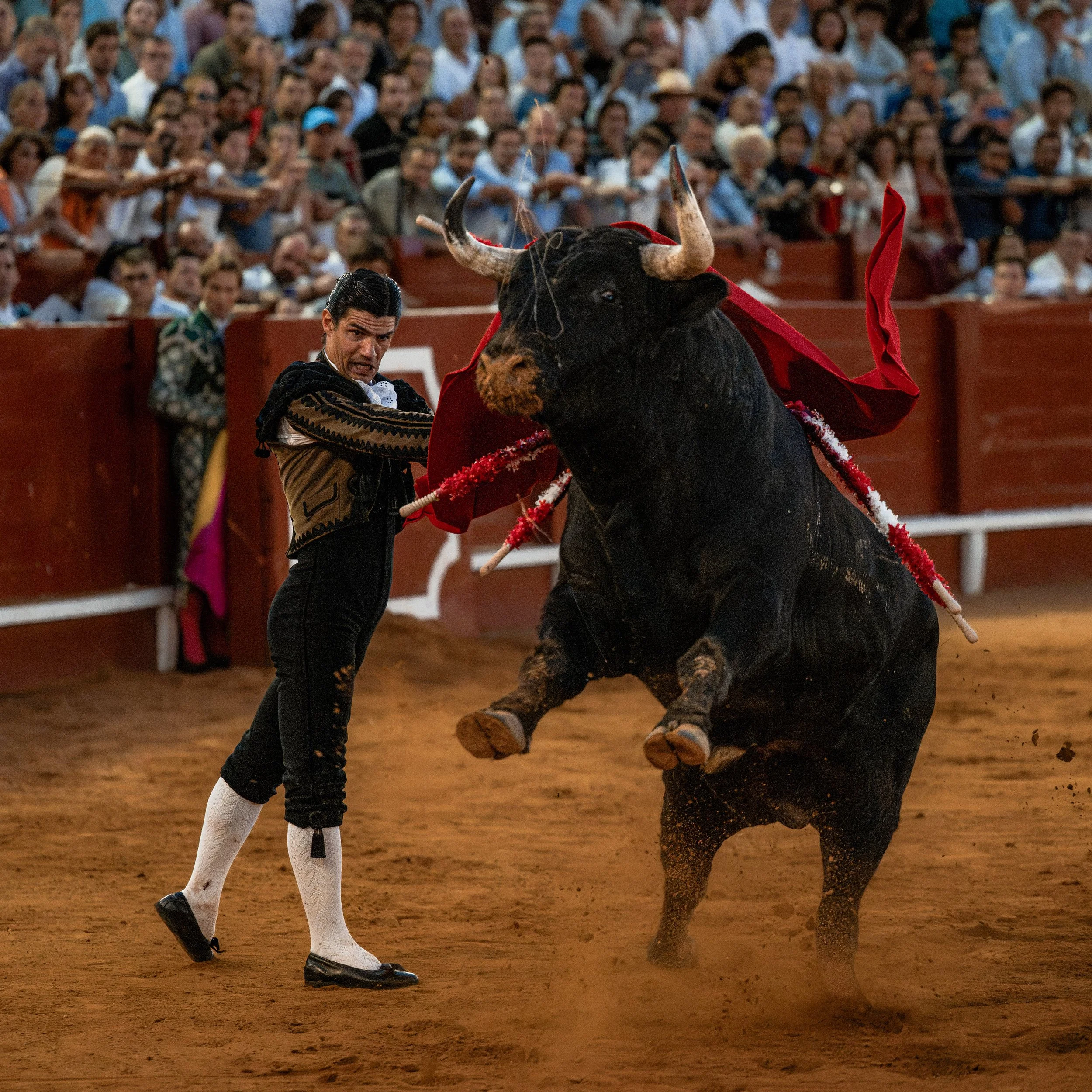 aranjuez-120.JPG